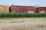 CP 218056